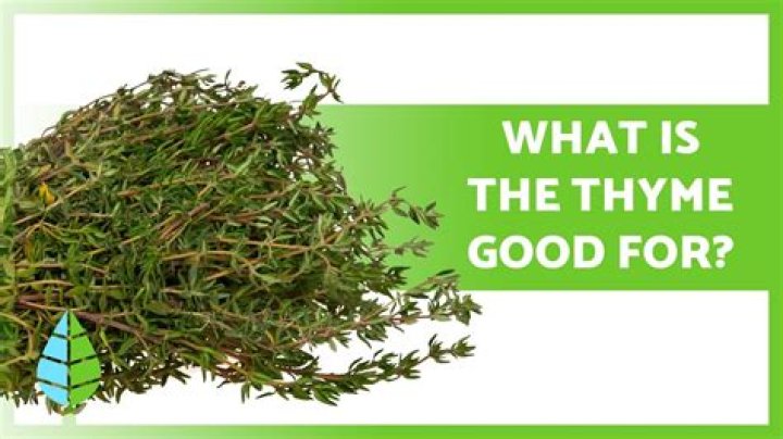 What is thyme herb good for