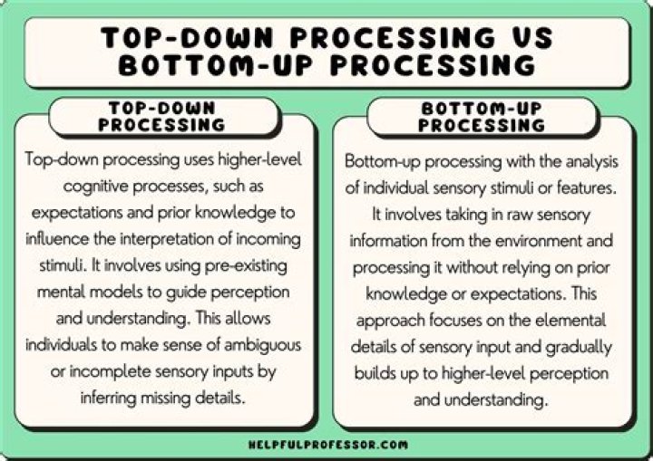 What is top down perception