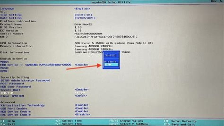 What is TPM state in BIOS
