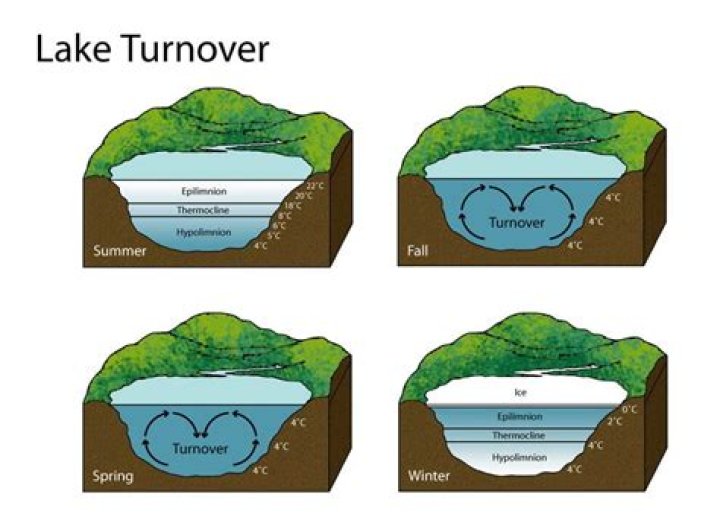 What is turnover in a lake