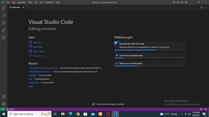 What is VS Code user setup