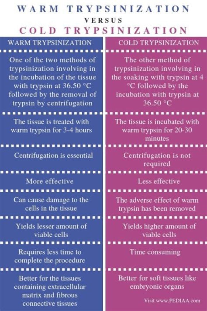 What is warm Trypsinization
