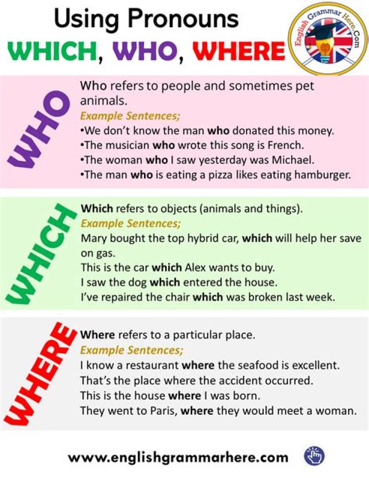 What is which as a pronoun