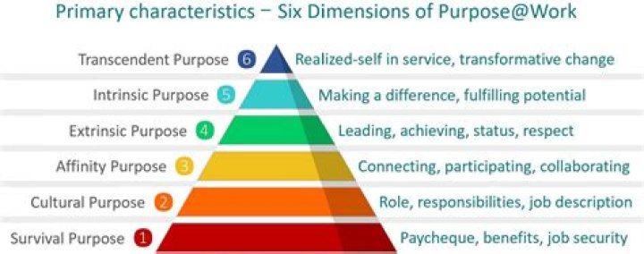 What is Winthrops purpose