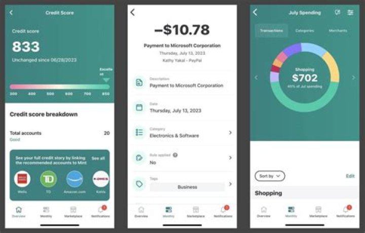 What is wrong with Mint app