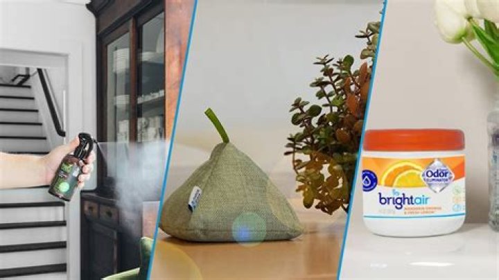 What kills odor in the air