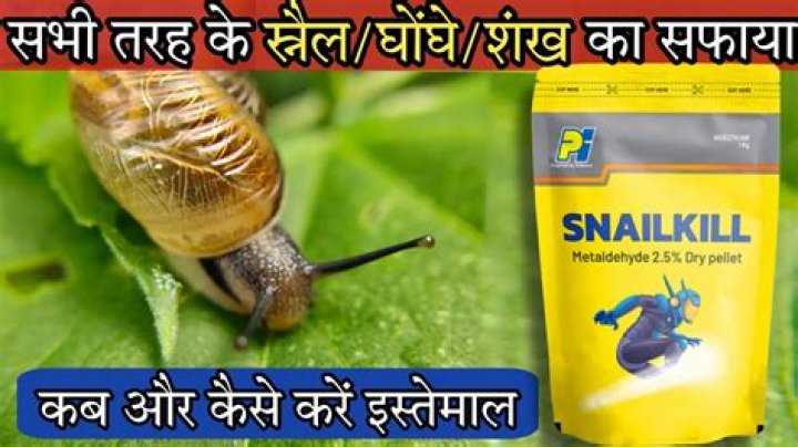 What kills snails and slugs
