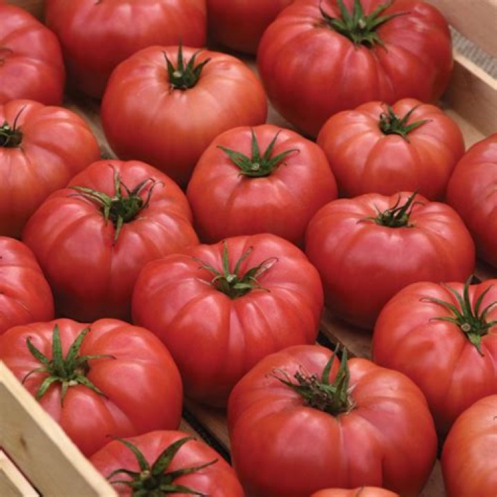 What makes a hybrid tomato