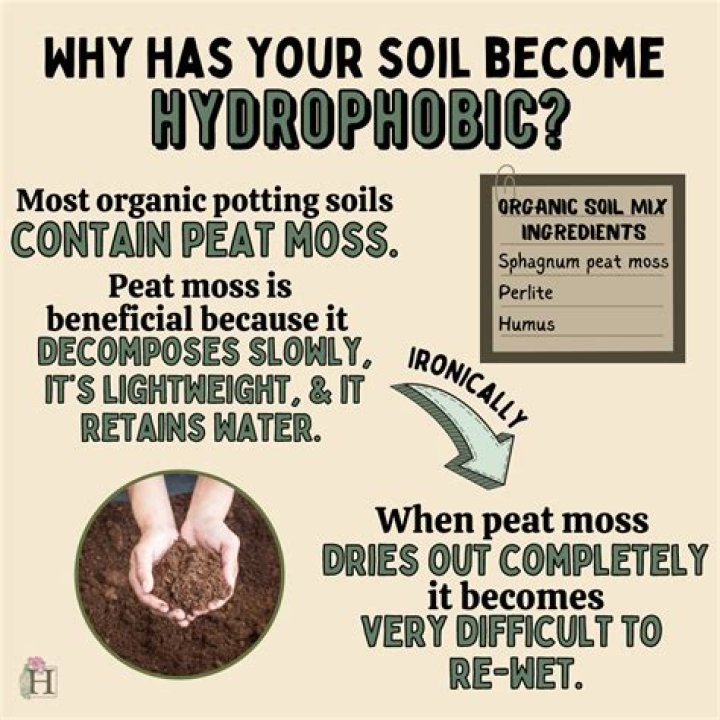 What makes soil hydrophobic