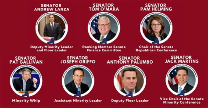 What minority leader means