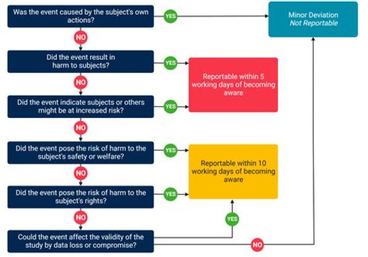 What needs to be reported to the IRB