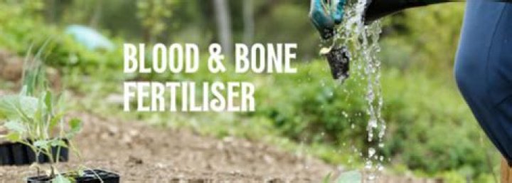 What nutrients are in blood and bone Fertiliser
