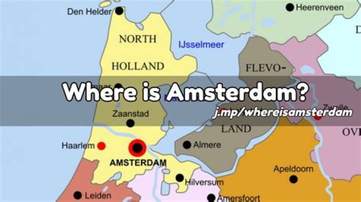 What percent is New Amsterdam