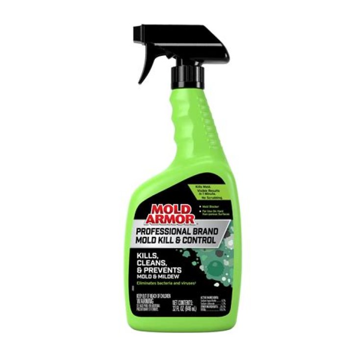 What permanently kills mold