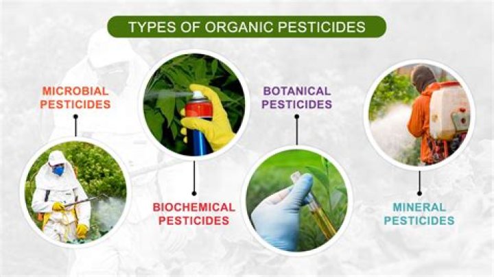 What pesticides are used on organic foods