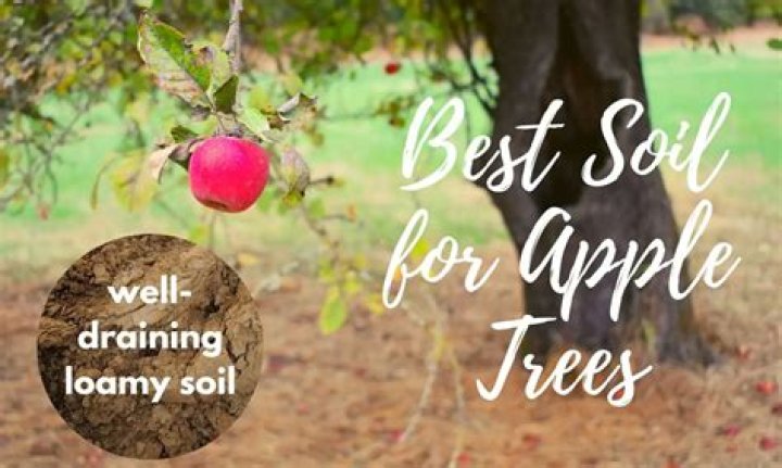 What pH do apple trees like
