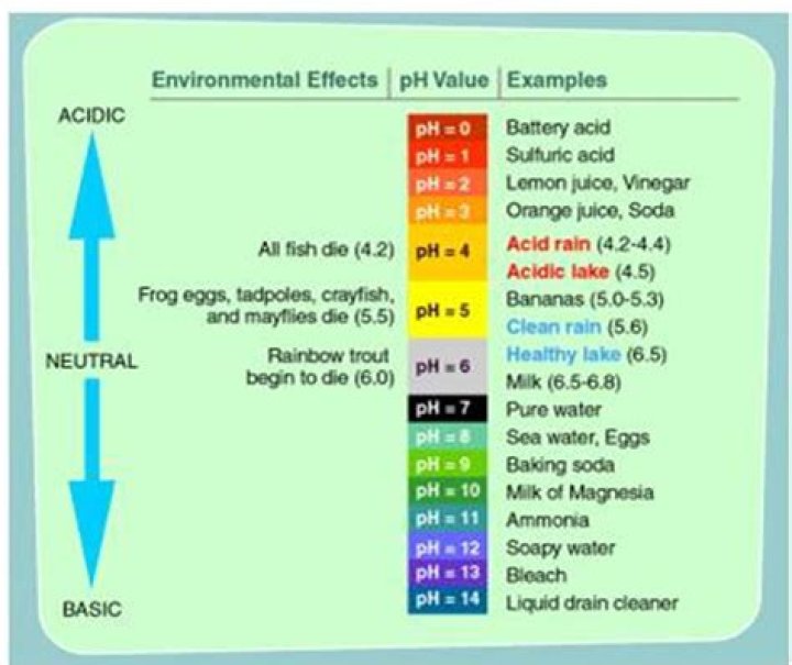 What pH is too high for koi