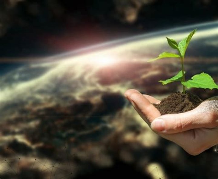 What plants can grow in darkness