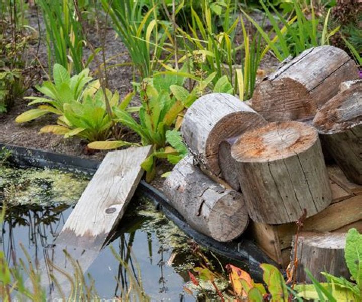 What plants grow in a wildlife pond