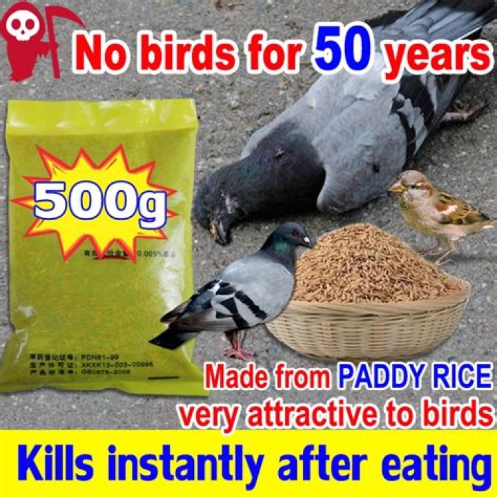 What poison will kill birds
