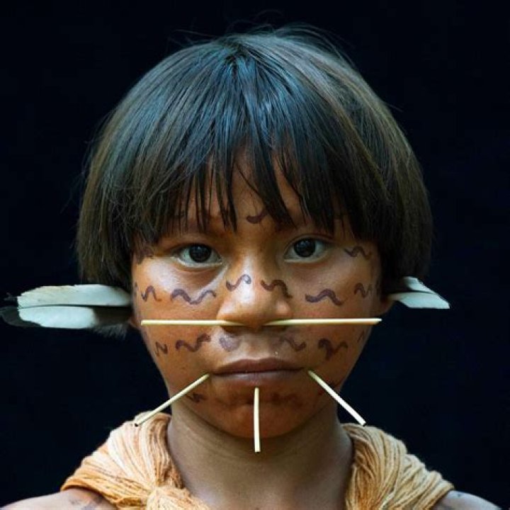 What problems do the Yanomami tribe face