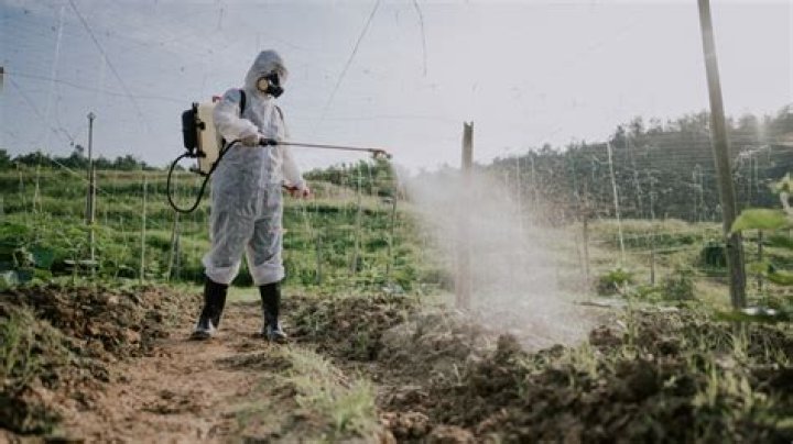 What spray kills Periwinkle