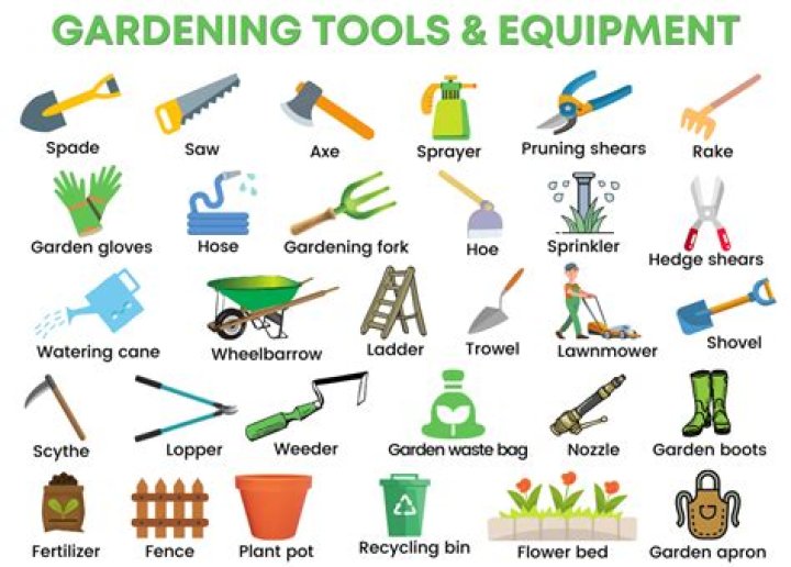 What tools does Snowden use
