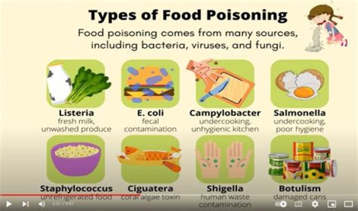 What toxin does Salmonella produce