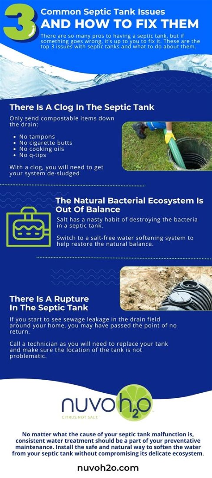 What trees are bad for septic systems