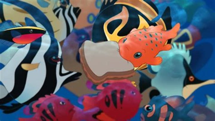 What type of fish is Pudge