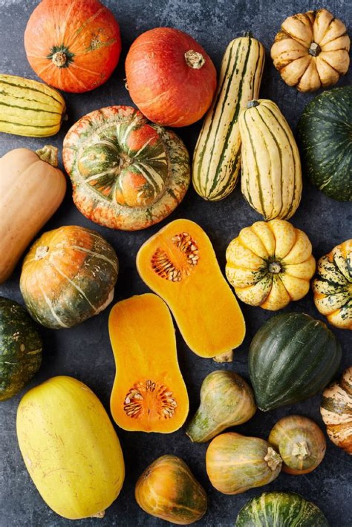 What type of food is squash