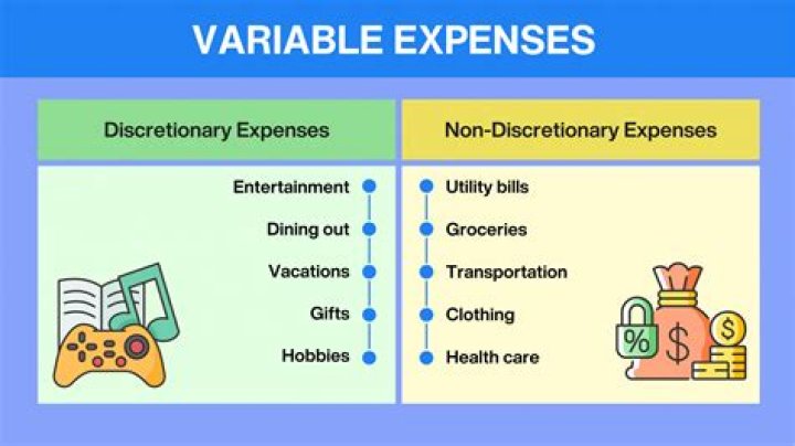 What variable expenses mean