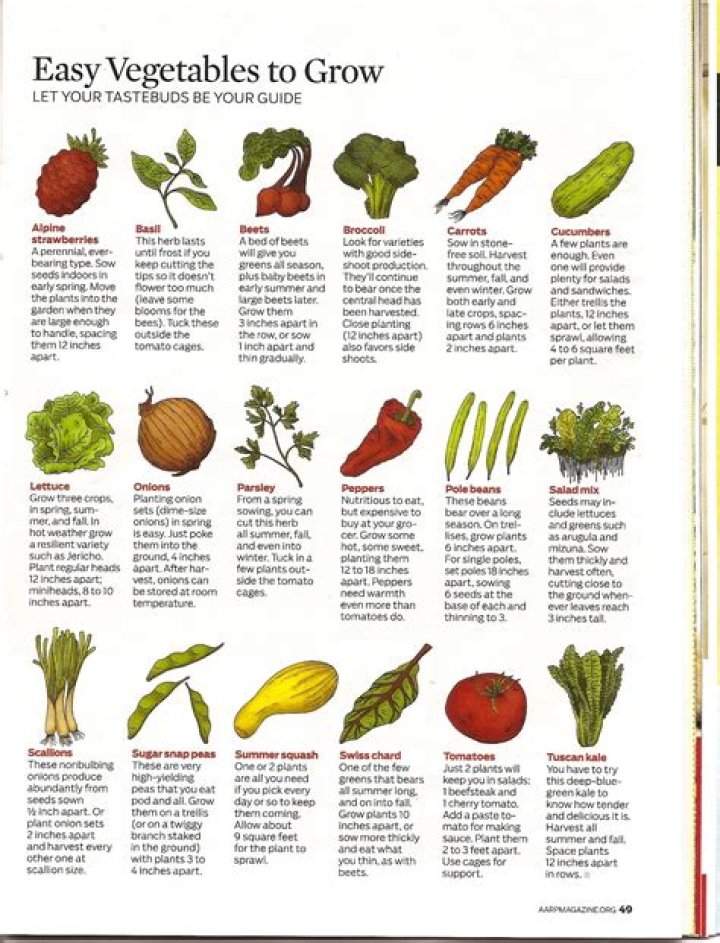 What vegetables can you grow in Texas