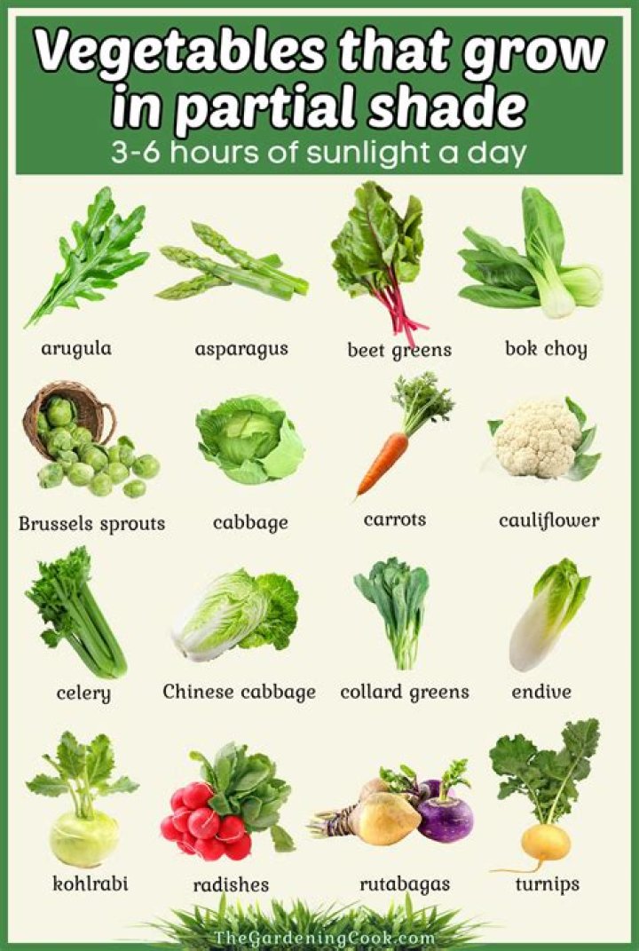 What vegetables grow in partial sun