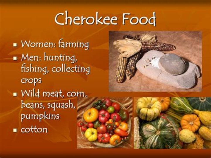 What was the Cherokees diet