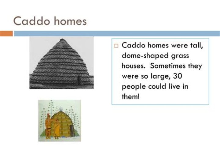 What were Caddo houses like