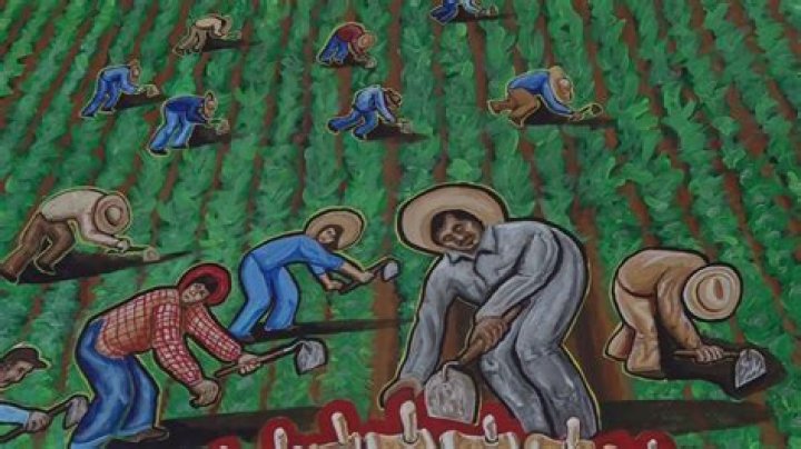 What were some of the symbols of the farmworker movement