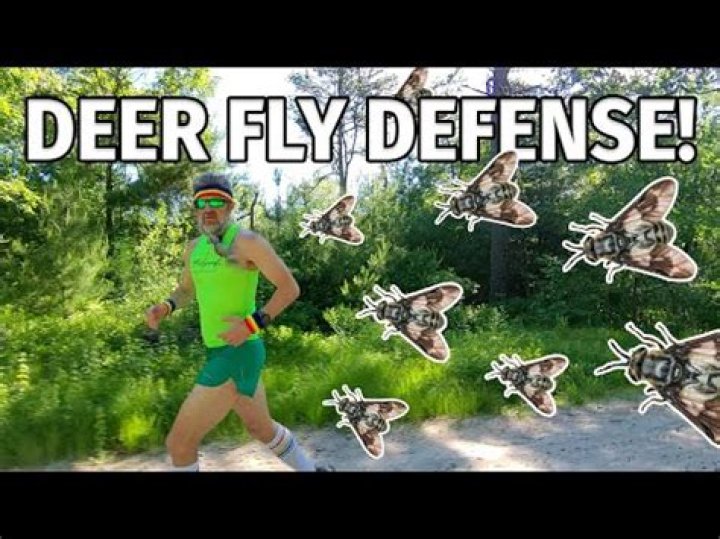 What will repel deer flies