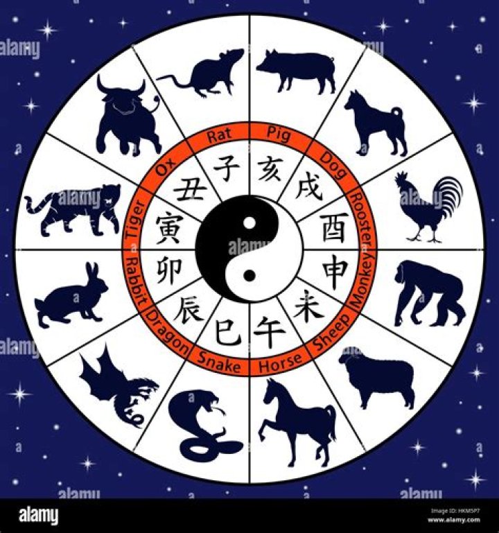 What Zodiac is yin and yang