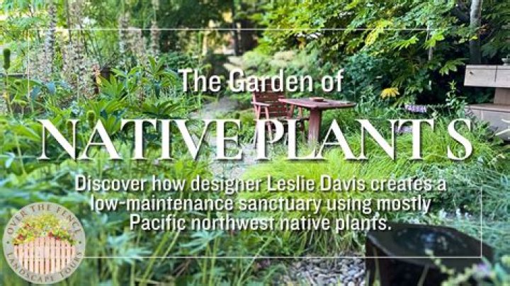 When can I plant in the PNW