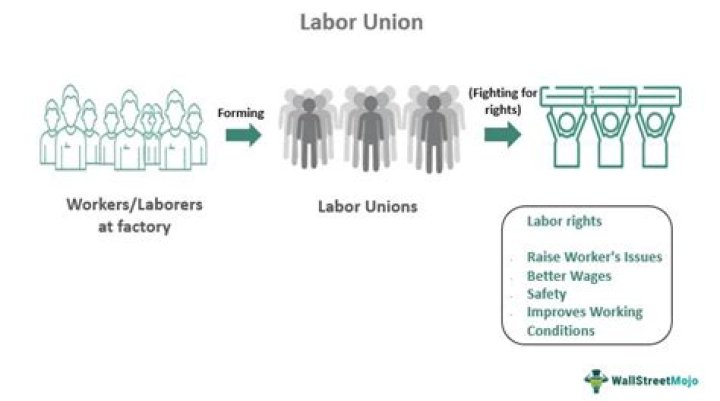 When did labor unions begin in the US
