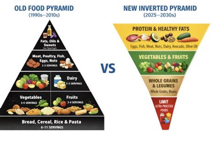 When did the food pyramid change