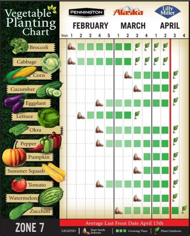 When should I start my fall garden