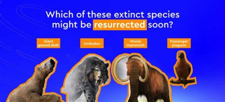 When should you not use extinction