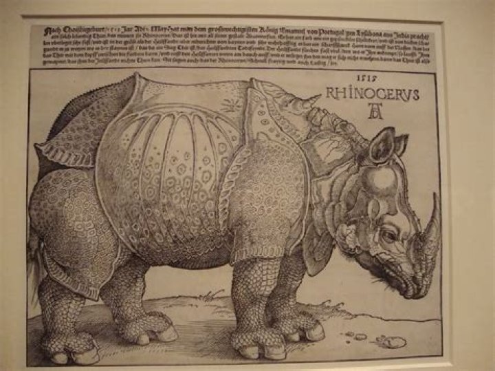When was rhinoceros written