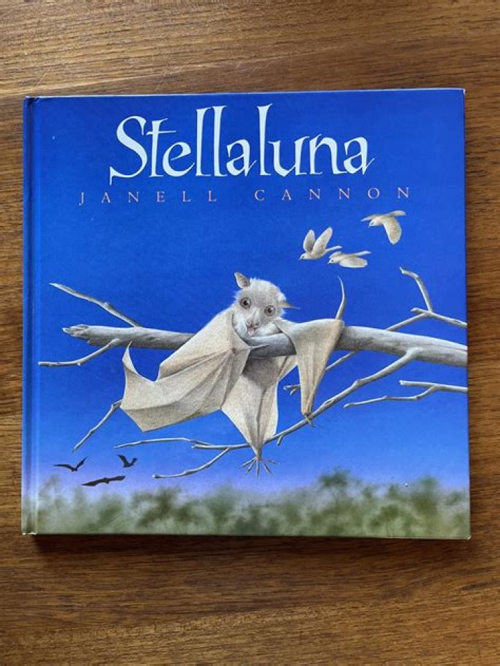 When was stellaluna written