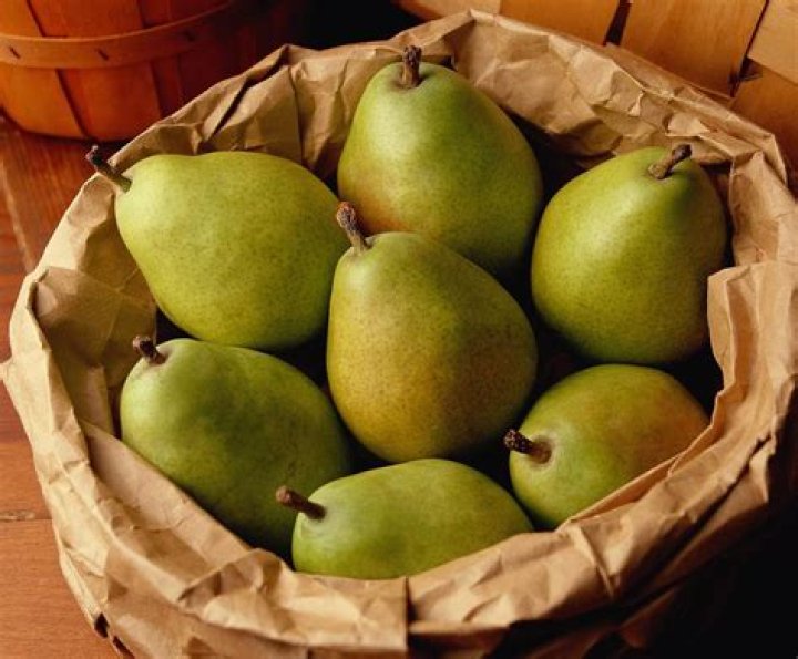 Where are Anjou pears grown