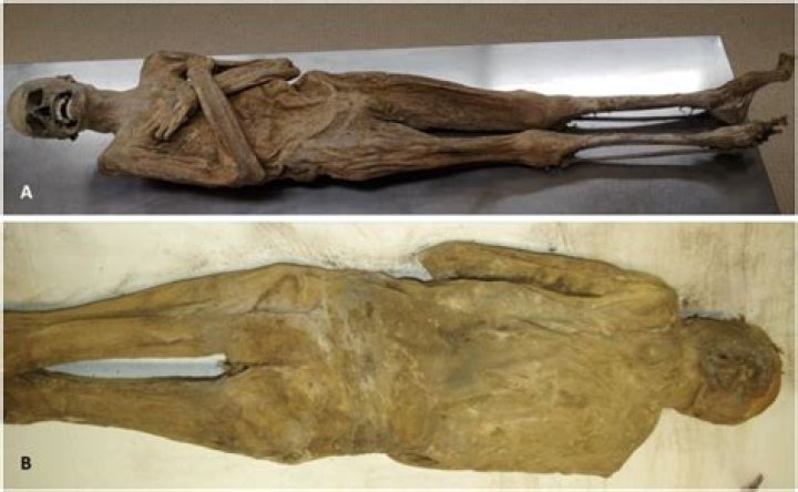 Where are ice mummies found