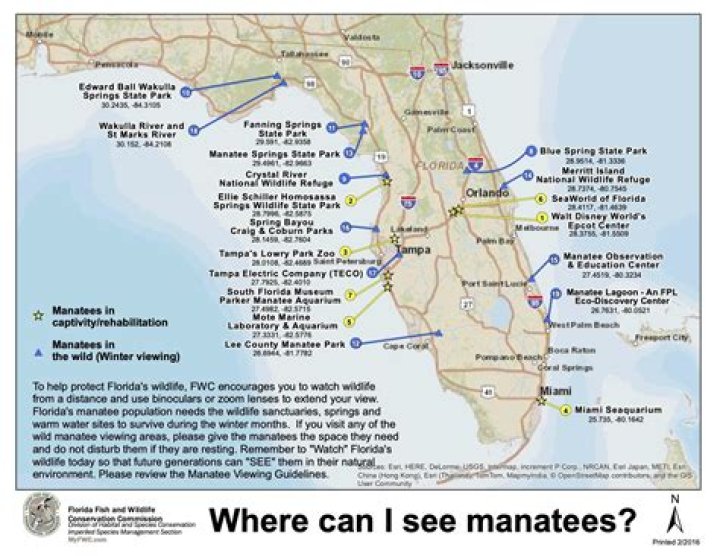 Where are manatees in April
