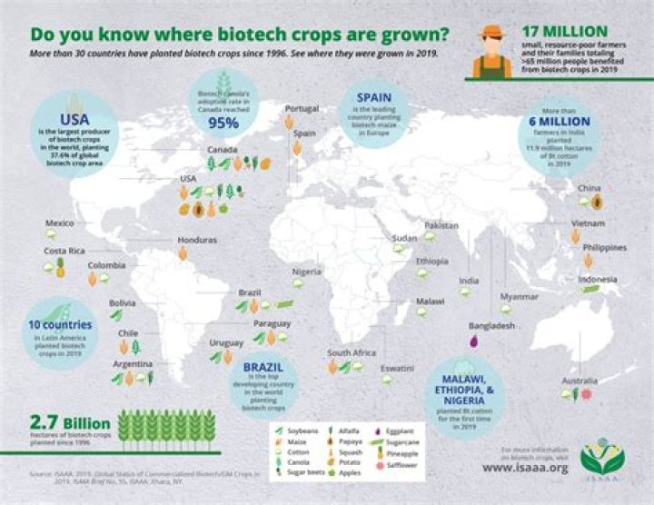 Where are most crops grown